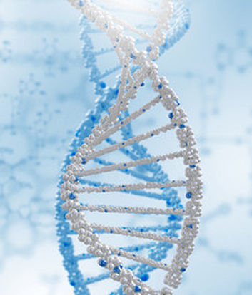 Pārtrūkušas grūtniecības materiāla ģenētiskas izmeklēšanas rezultāti